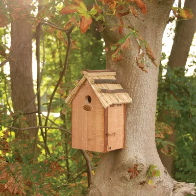Herramientas y equipos de jardinería, casa de pájaros de jardín, casas de pájaros de madera sin terminar, casa de nido de pájaro